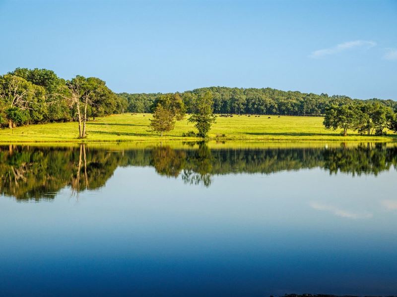 Rolling K Ranch : Lindale : Smith County : Texas