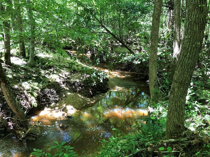Welcome To Wicked Ridge : Chase City : Mecklenburg County : Virginia