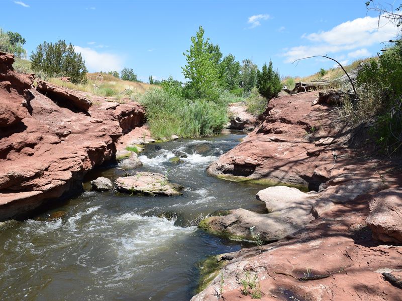 Gorgeous Creekside Farm Adjoins Blm : Canon City : Fremont County : Colorado