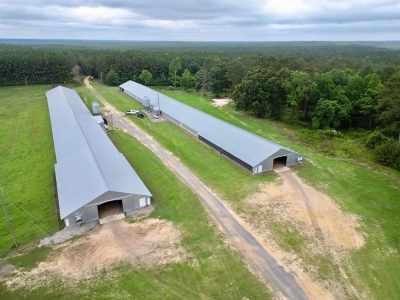 2 House Poultry Broiler Farm for Sa : State Line : Greene County : Mississippi