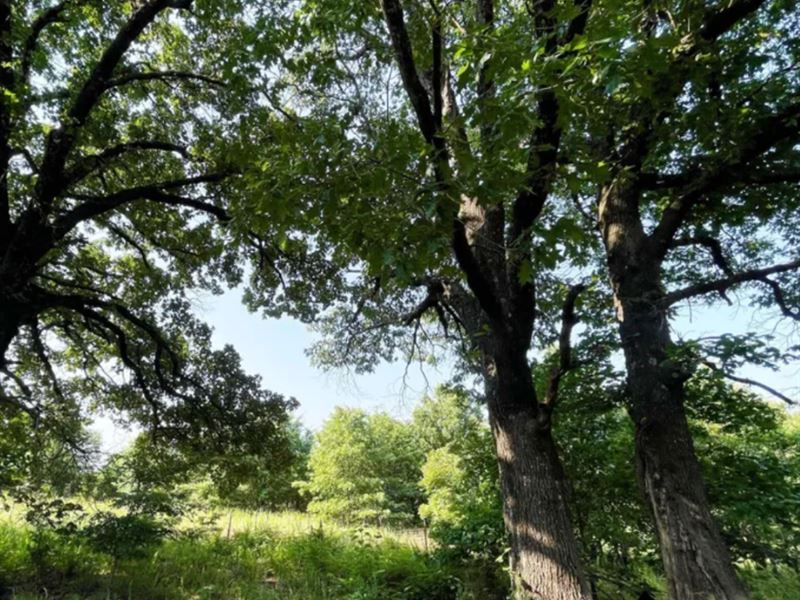 Awesome Cabin Land in Oklahoma, Ranch for Sale by Owner in Oklahoma