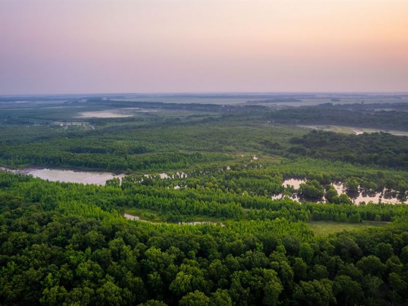 The Miller Woods : Marianna : Lee County : Arkansas