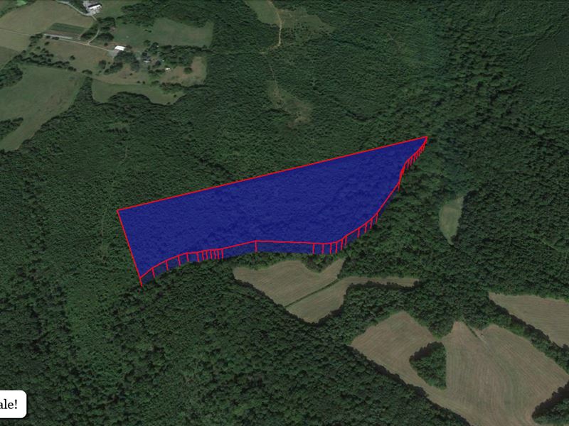 22.5 Acres in Cumberland County, VA : Dillwyn : Cumberland County : Virginia