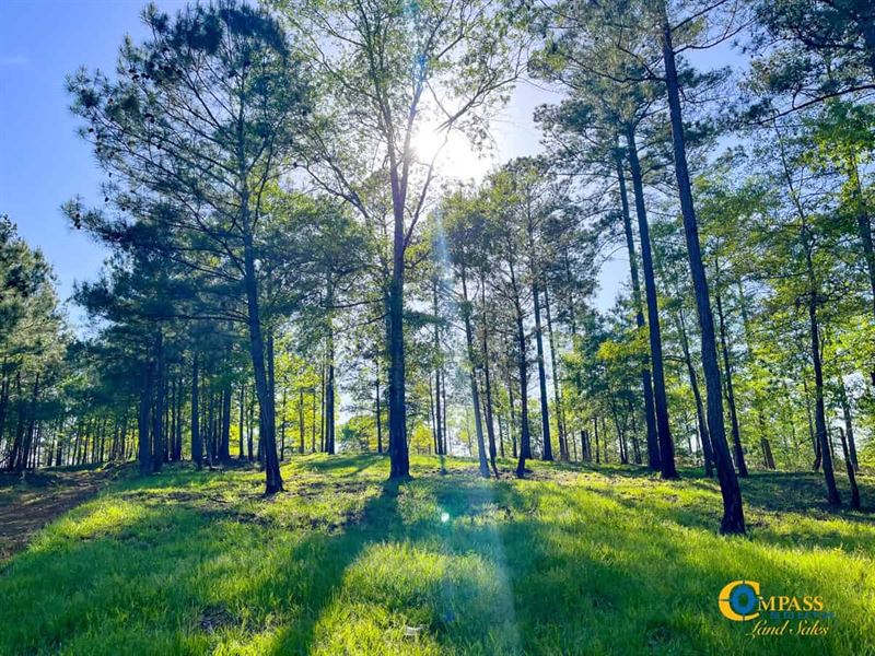McIntosh Ridge Retreat : Carrollton : Carroll County : Georgia