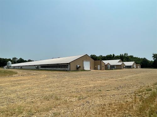7 House AR 133 AC Turkey Farm : Ola : Yell County : Arkansas