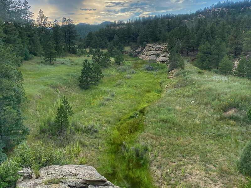 San Pablo Canyon Lot 3, Weston : Weston : Las Animas County : Colorado