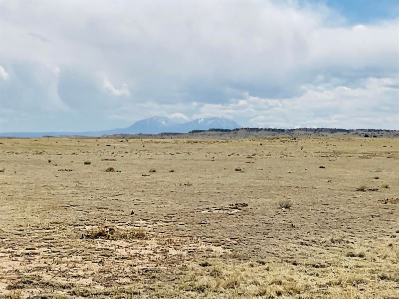 Lot 119A Turkey Ridge Ranch Phase : Walsenburg : Huerfano County : Colorado