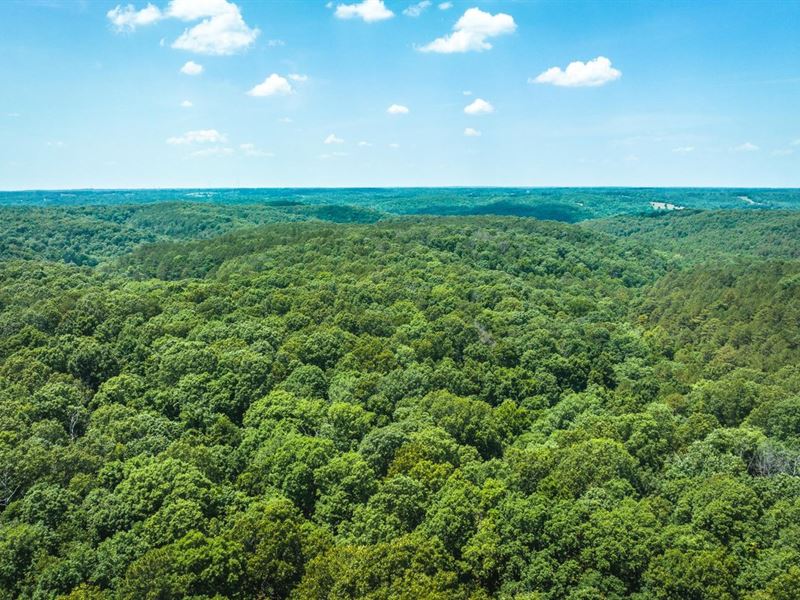 Huckleberry Ridge 25 : Pineville : McDonald County : Missouri