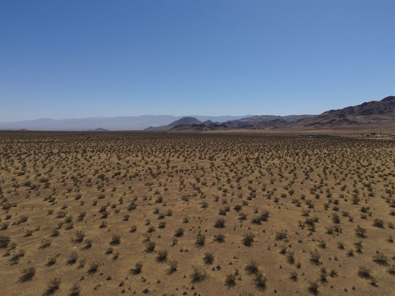 Array Of Exciting Opportunities : Lucerne Valley : San Bernardino County : California