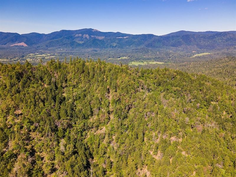 174.22 Acres in Rogue River, Oregon : Rogue River : Jackson County : Oregon