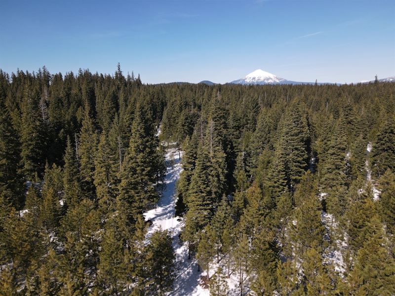 Keno Access 320 : Ashland : Jackson County : Oregon