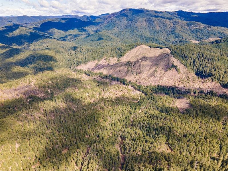 Dismal Creek : Azalea : Douglas County : Oregon