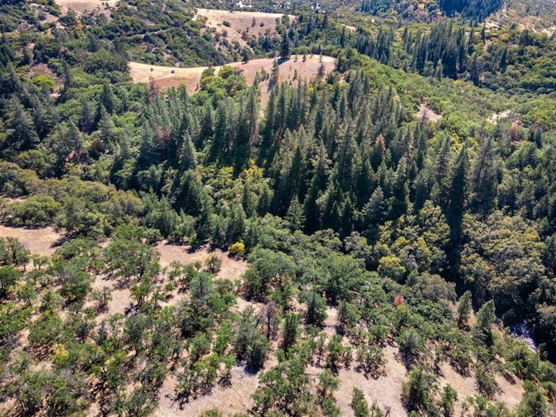 Colestin Vista : Ashland : Jackson County : Oregon