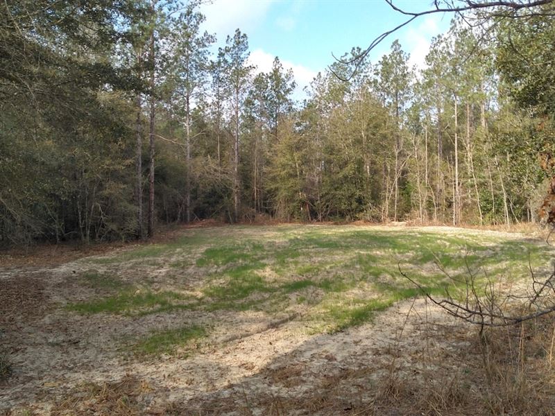 S-336A-Brandon P2 : Marianna : Alachua County : Florida
