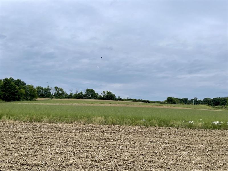 Richardsville Rd 43 Acres : Brookville : Jefferson County : Pennsylvania
