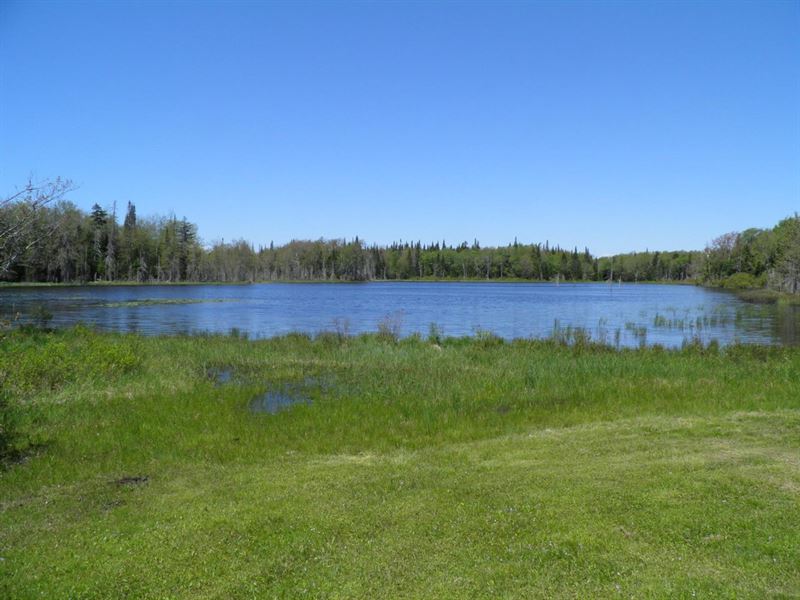 Maple Ridge Cabin : Lowville : Lewis County : New York