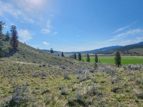 Grange Hill Twenty Acre Parcels : Tonasket : Okanogan County : Washington