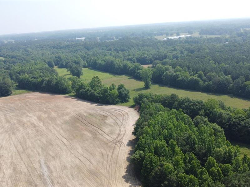 Hunt, Play, Live : Moulton : Lawrence County : Alabama