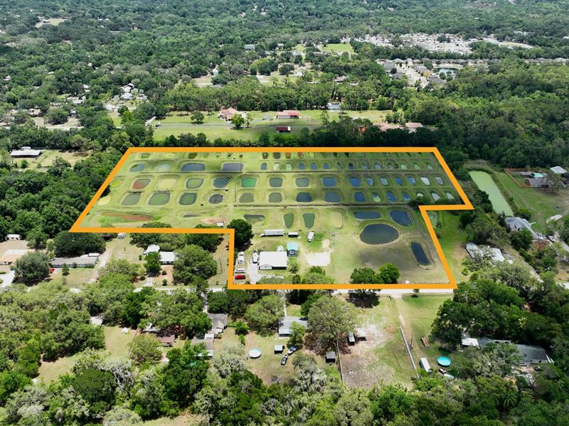 Riverview Fish Farm : Riverview : Hillsborough County : Florida