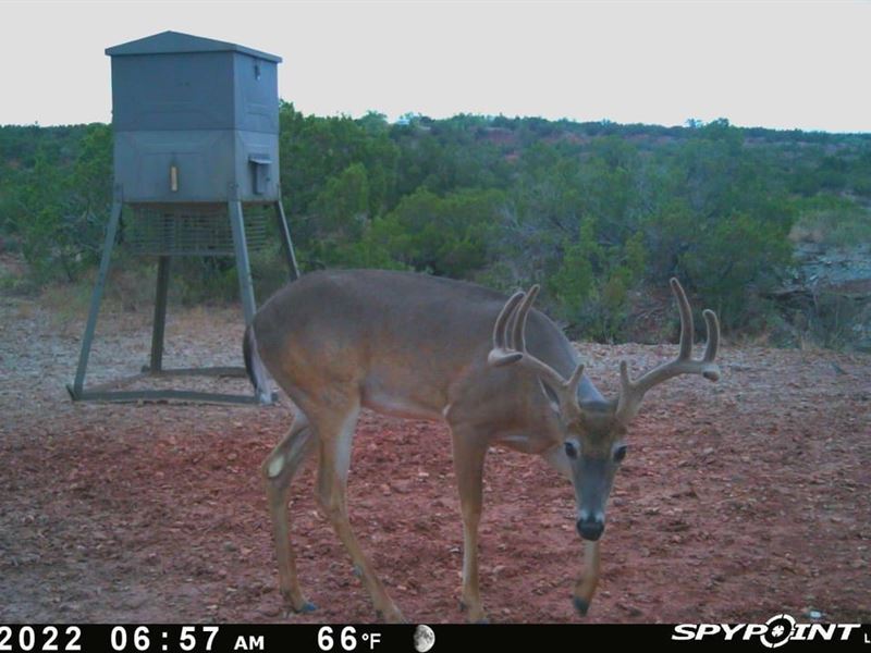 Red Rock Oasis 76 Acres Knox County : Crowell : Knox County : Texas