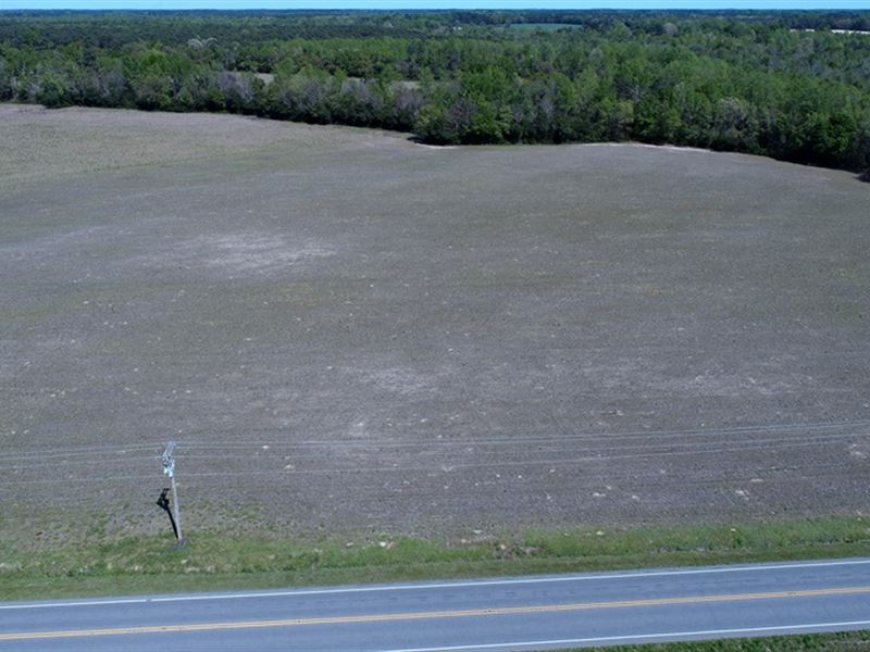 Beautiful Home Site, Farm, Horses : Rowland : Robeson County : North Carolina