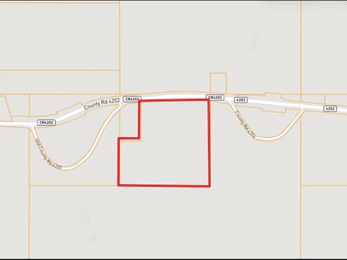 34.2 Acres in Attala County in Sall : Sallis : Attala County : Mississippi