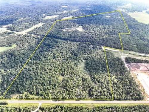 183 Acres, FM 2989 T-271004-2 : Huntsville : Walker County : Texas