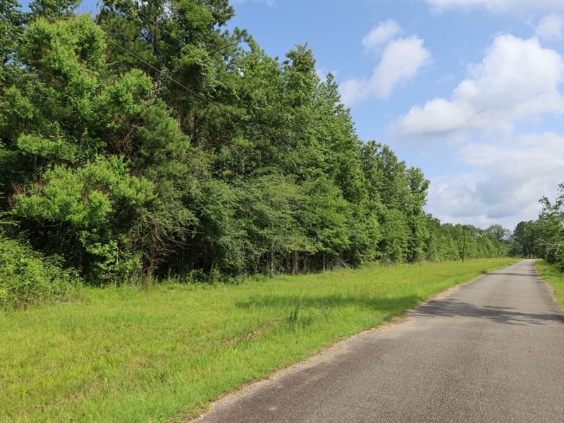 La, Caldwell 57 Acres : Kelly : Caldwell Parish : Louisiana