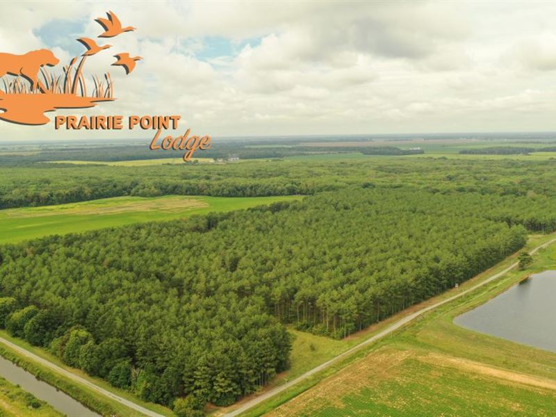 Prairie Point Lodge Hunting Lease : Hazen : Prairie County : Arkansas