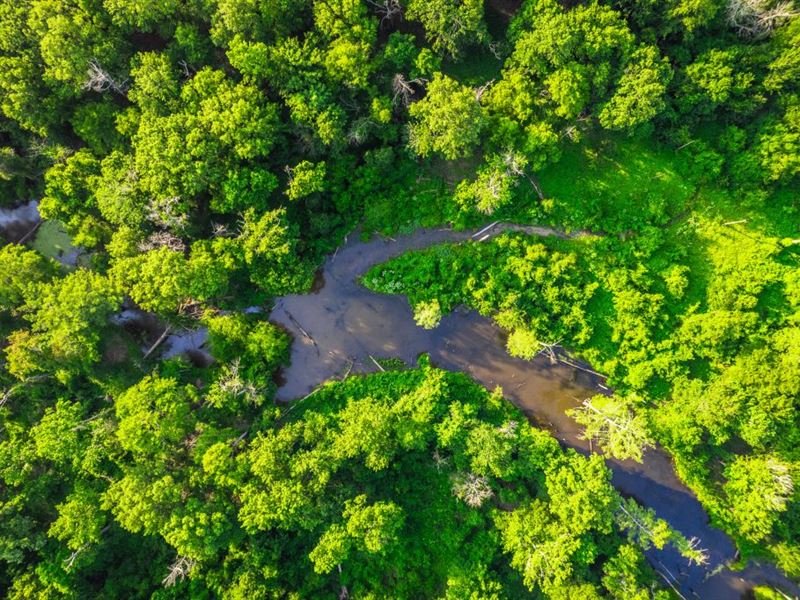 White Creek Hunting Club Lease : Des Arc : Prairie County : Arkansas