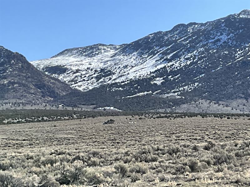 Build Your Dream, Stay in Budget : Montello : Elko County : Nevada