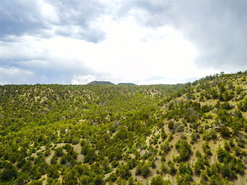 Hwy 12, Trinidad, Co 81082 : Trinidad : Las Animas County : Colorado