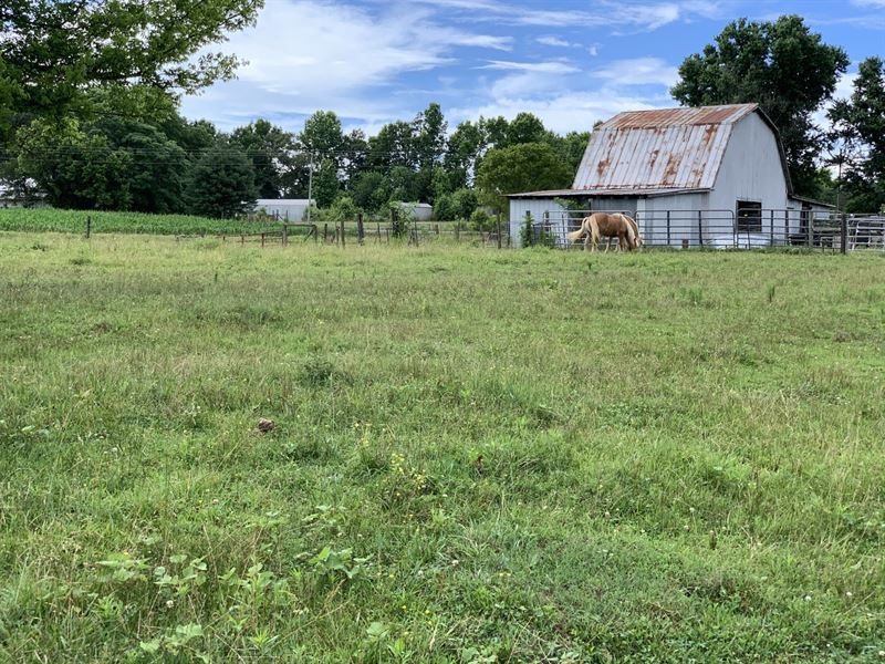 4840 Asbury Road Mini-Farm : Albertville : Marshall County : Alabama