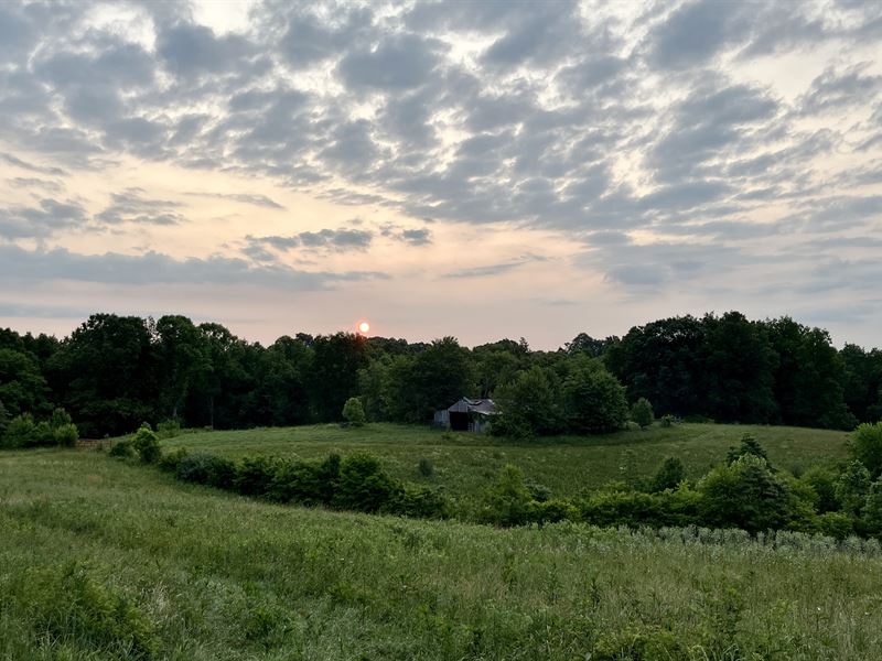 Beautiful Tract of Land : Wellston : Jackson County : Ohio