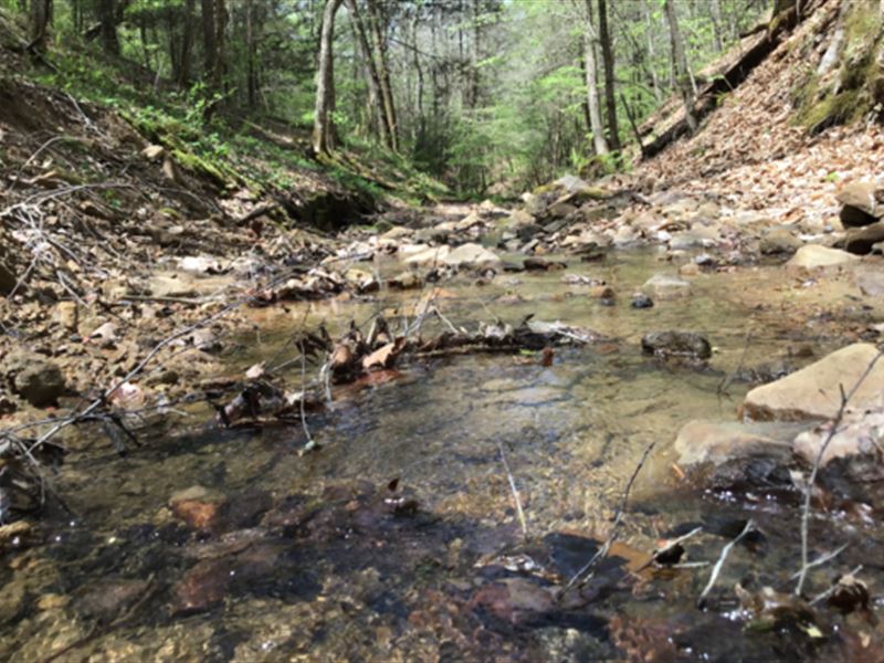 175.168 Ac in Buchanan County, VA : Hurley : Buchanan County : Virginia
