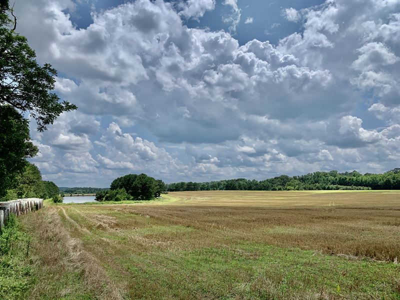 Beautiful Pasture on Lake : Griffin : Spalding County : Georgia