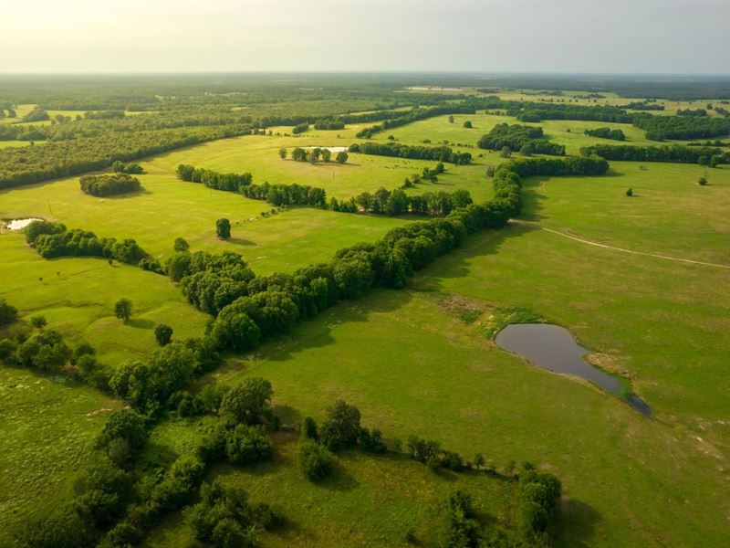 Scissortail Ranch : De Kalb : Bowie County : Texas