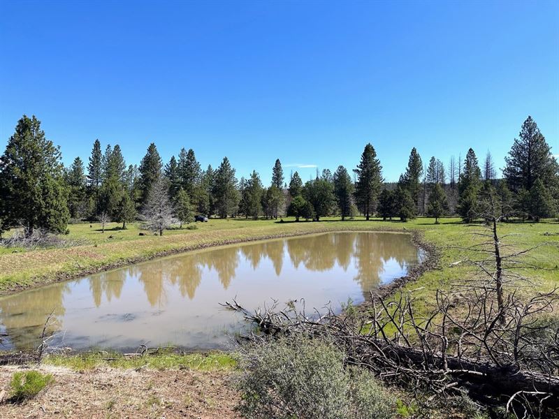 Pokegama 40 Acres : Keno : Klamath County : Oregon