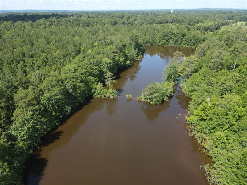 Camden Bypass Lake Tract : Camden : Wilcox County : Alabama