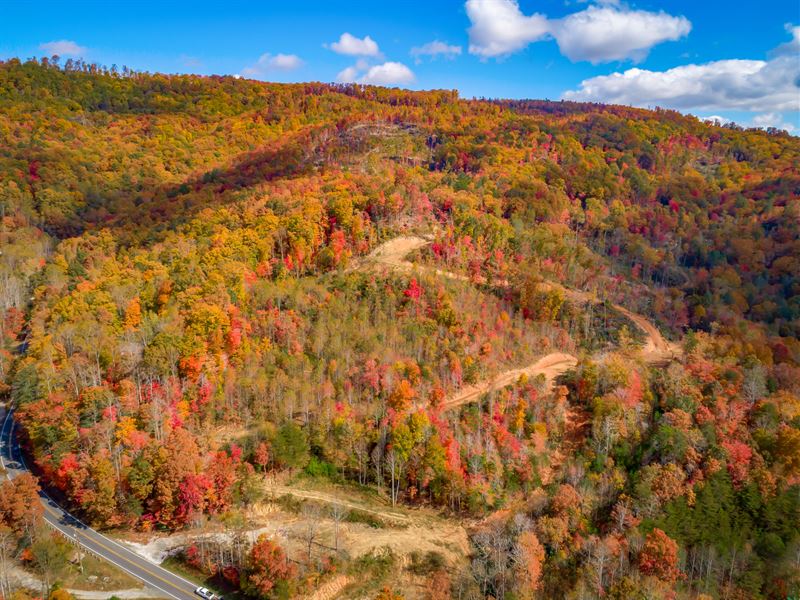 Natural Treasure in McDowell County : Marion : McDowell County : North Carolina