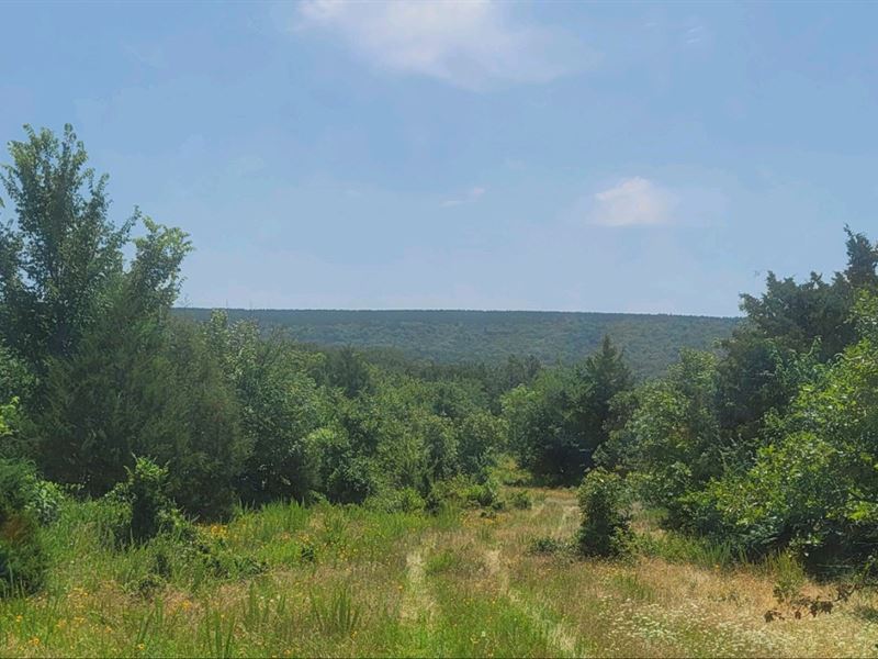 Joslin Valley Tract F : Snow : Pushmataha County : Oklahoma