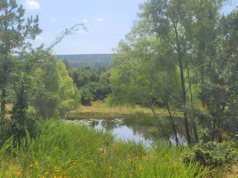 Joslin Ridge Ranch Tract G : Snow : Pushmataha County : Oklahoma