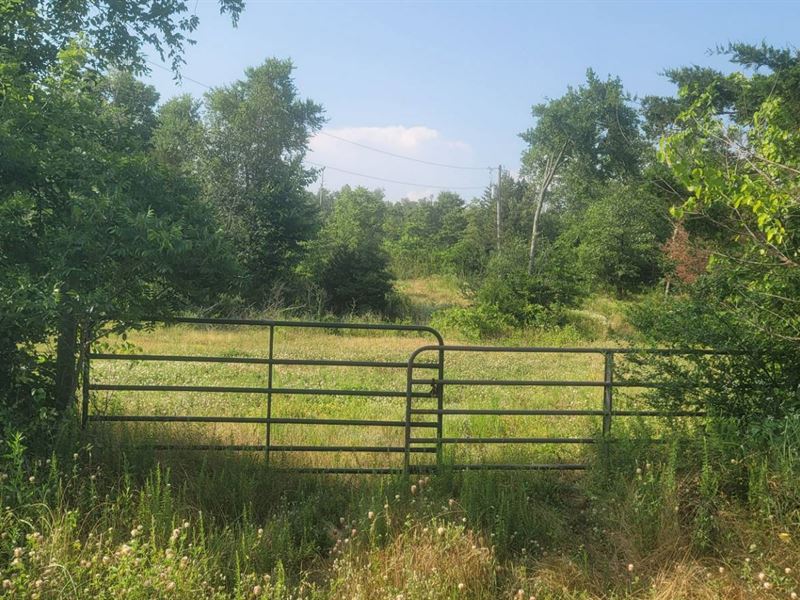 Cougar Ridge Ranch, Supreme Hunting : Snow : Pushmataha County : Oklahoma