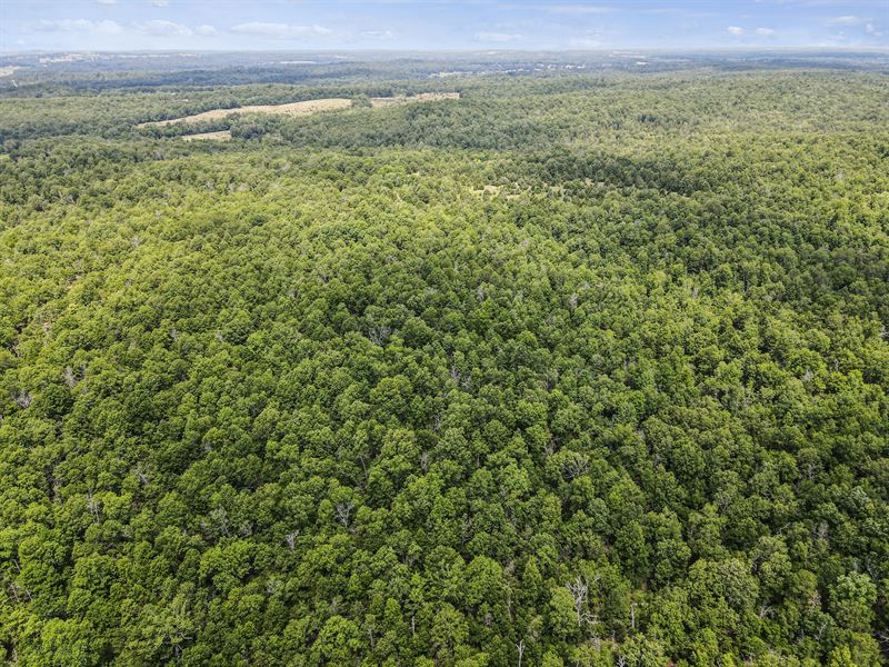 Land for Sale, Timber : West Plains : Howell County : Missouri