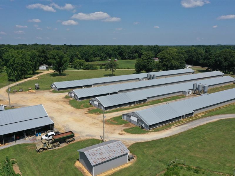 Amazing Grace Farm : Boaz : Etowah County : Alabama