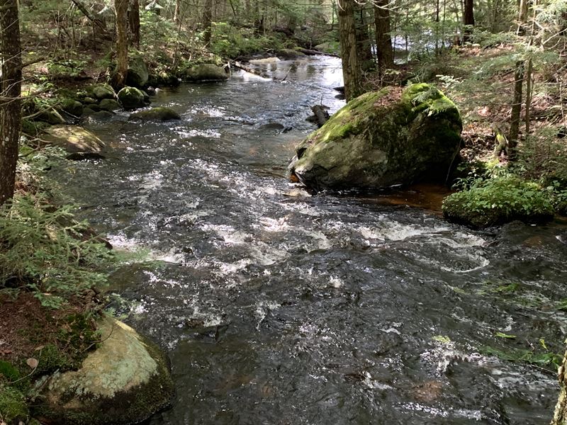 Adirondack Riverfront & Forest Land : Remsen : Oneida County : New York
