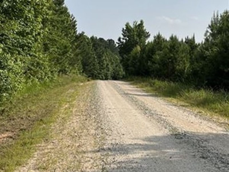 Greeneshade Farm : White Plains : Greene County : Georgia