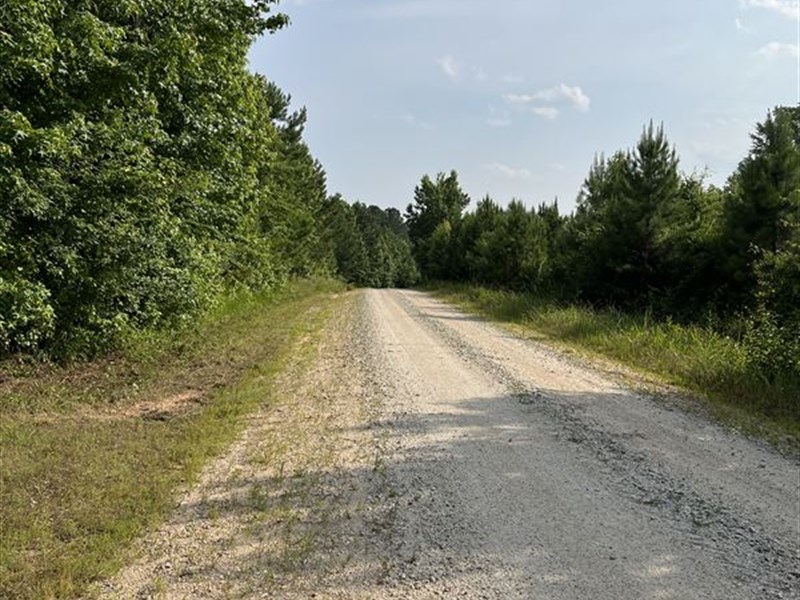 Jordans Mill Tract : White Plains : Greene County : Georgia