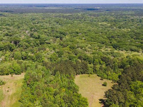 56 Ac Southeast Bulloch County : Brooklet : Bulloch County : Georgia
