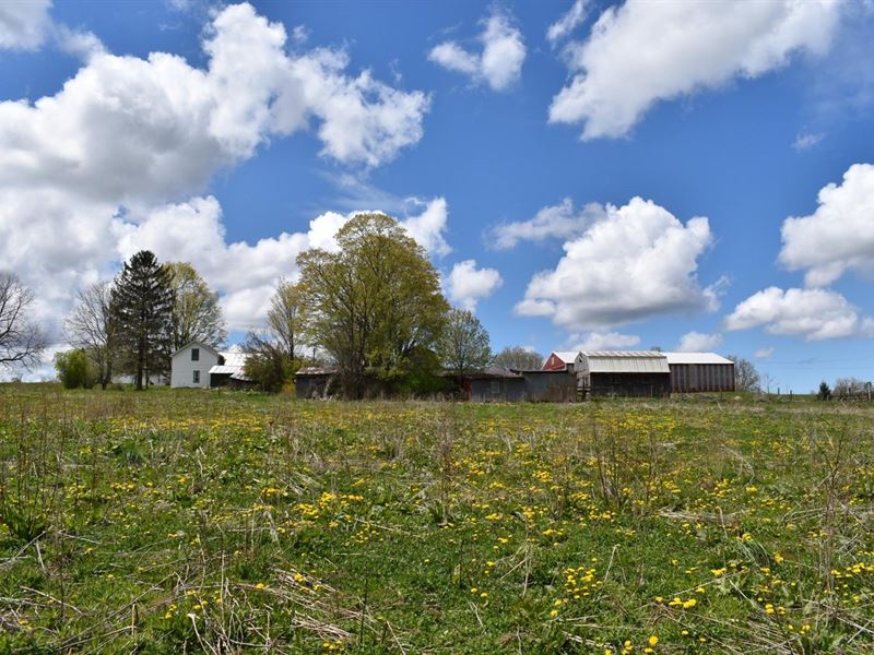 Ecker's Acres : Forestville : Chautauqua County : New York